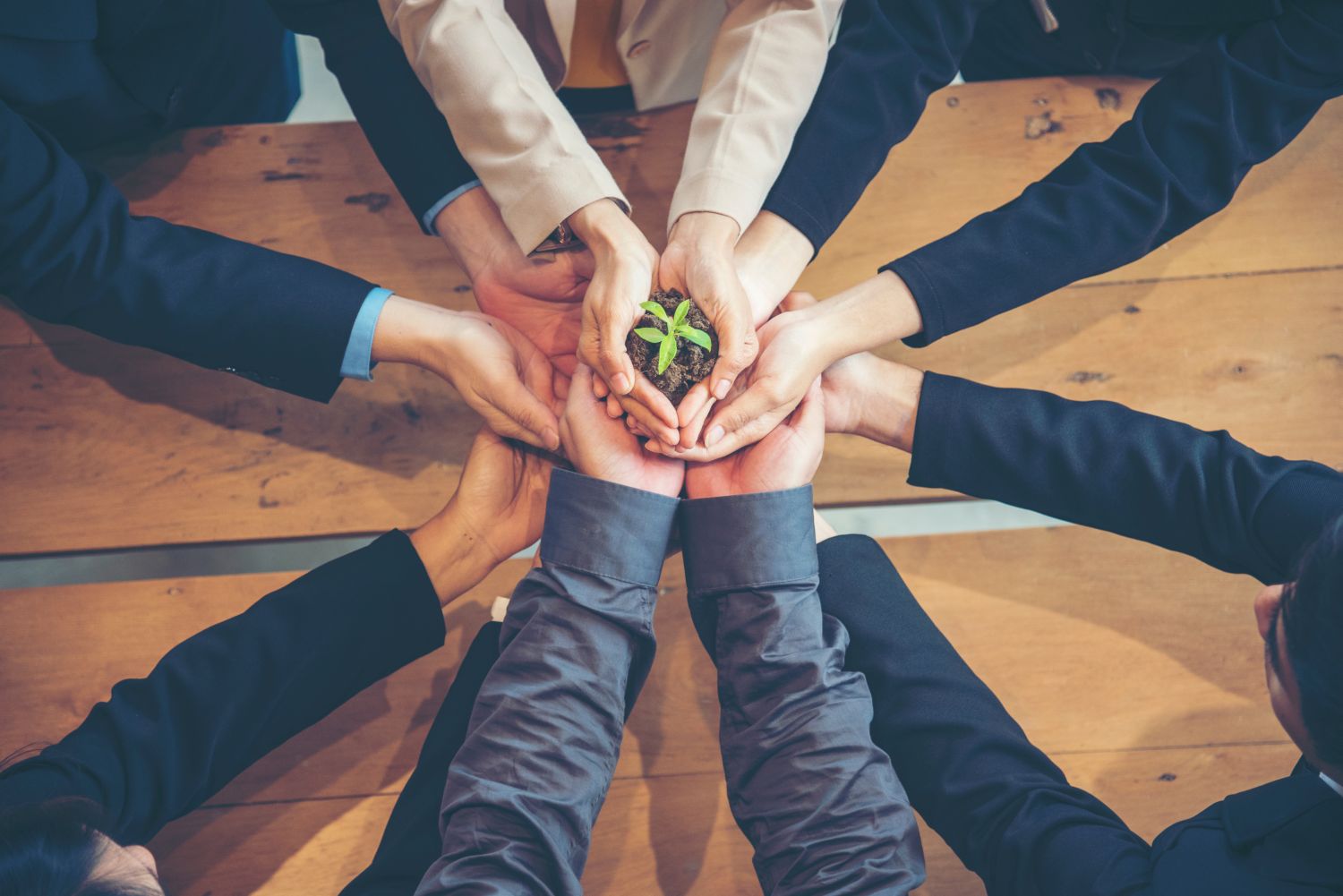 MSc in Sustainability Management
