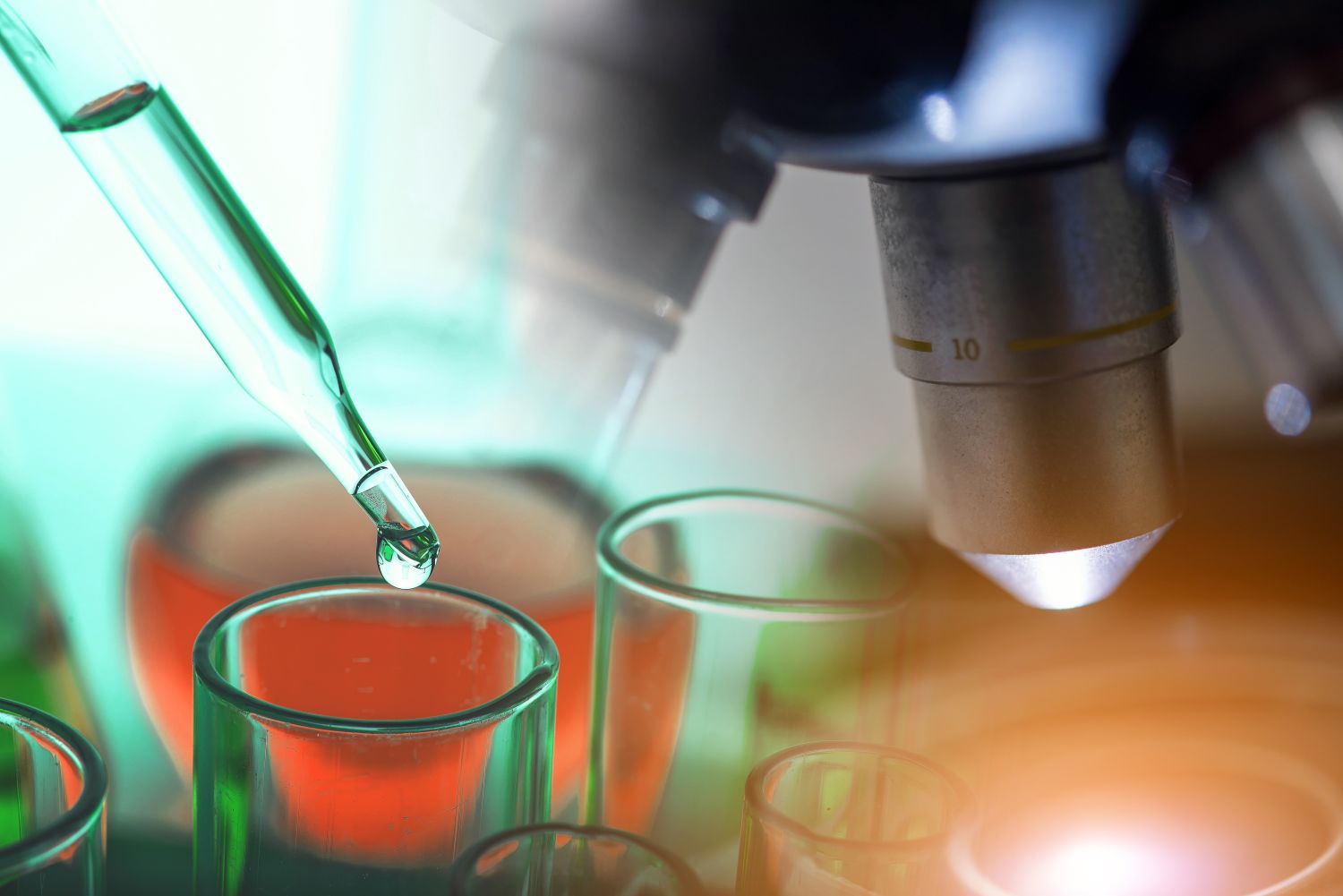 BSc in Biological Sciences