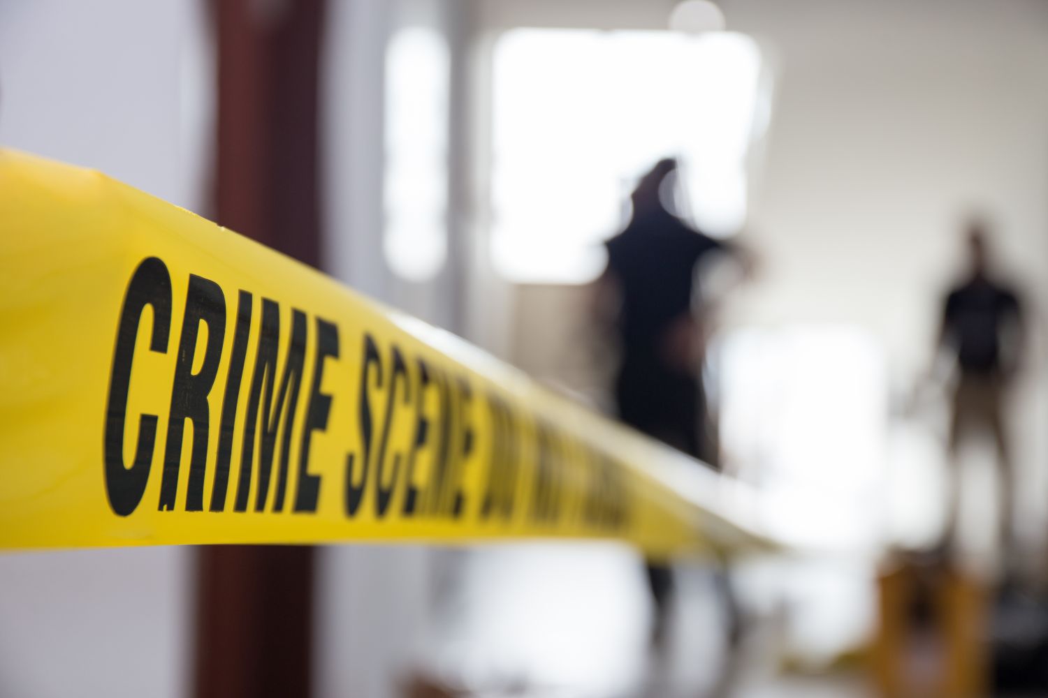 MSc in Criminal Justice