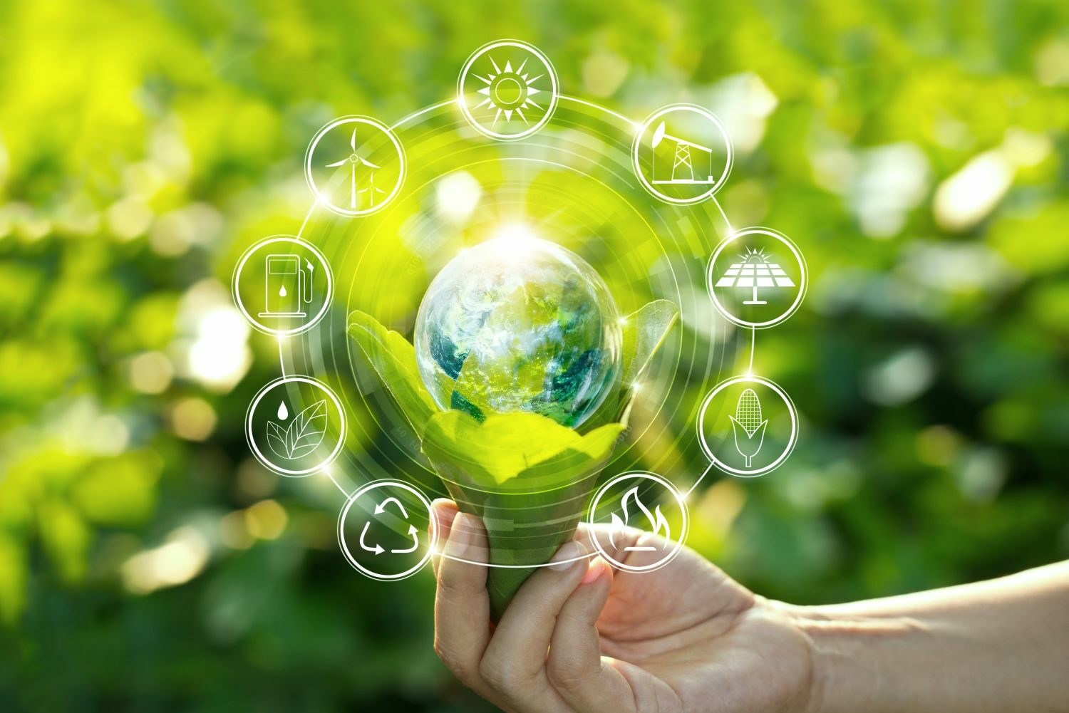 MSc in Environmental Management
